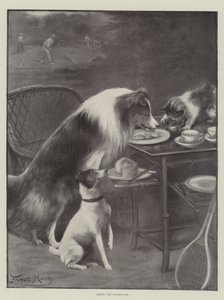 Fırsatı yakalamak by Fannie Moody